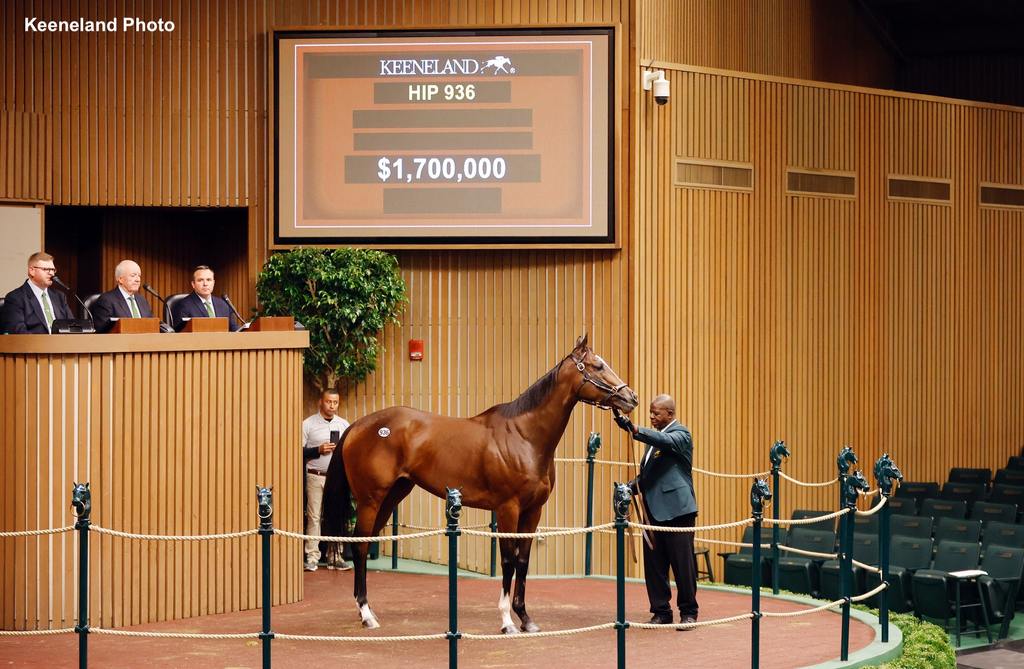 Hip 936, Three Witches. (Keeneland Photo)