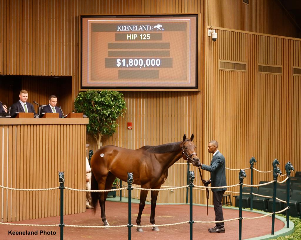 Hip 125 Skims. (Keeneland Photo)