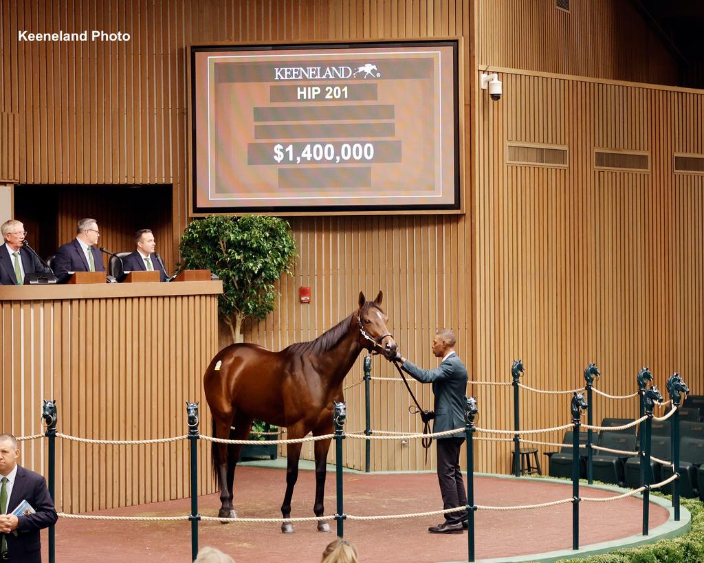 Hip 201, Interstatedream, 2023 Keeneland November Sale. (Keeneland Photo)