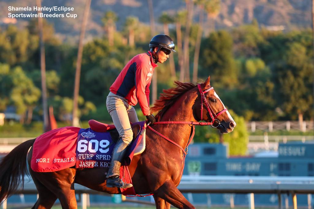 Jasper Krone during morning workouts at Santa Anita. (Shamela Hanley/Eclipse Sportswire/Breeders Cup)
