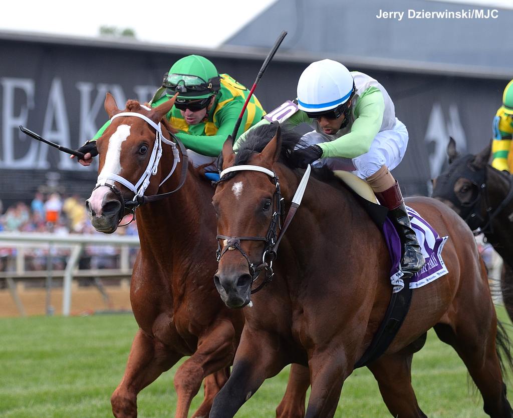 Joe (inside) in a stretch duel with Ready to Purrform before winning by a neck the James W. Murphy at Pimlico on the Preakness undercard. (Jerry Dzierwinski/MJC)