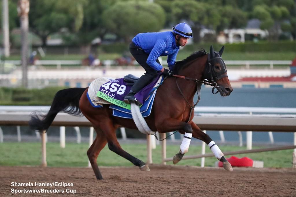 Master of The Seas gets in a work. (Shamela Hanley/Eclipse Sportswire/Breeders Cup)