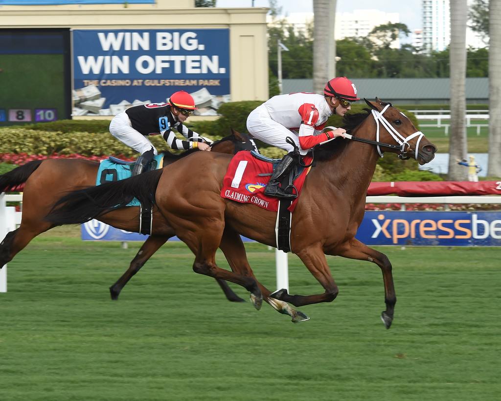 Peru winning the 2018 Claiming Crown Tiara at Gulfstream Park. (Leslie Martin)