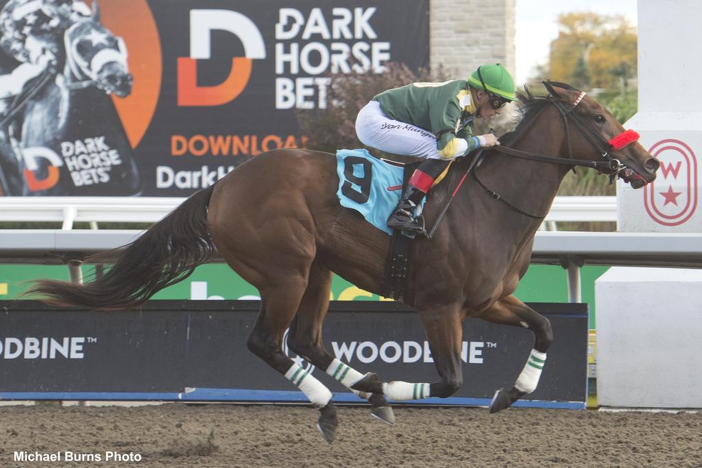 Sounds Practical and jockey Ryan Munger winning Race 5 on October 7, 2023 (Michael Burns Photo)