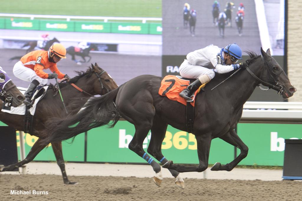 Souper Sinclair and jockey Keveh Nicholls winning Race 4 on October 21, 2023, at Woodbine. (Michael Burns Photo)