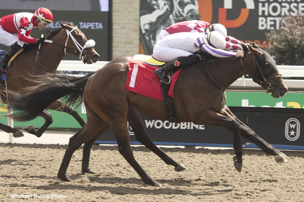 Two Ghosts and jockey Emma-Jayne Willson winning Race 3 on August 27, 2023, at Woodbine (Michael Burns Photo)