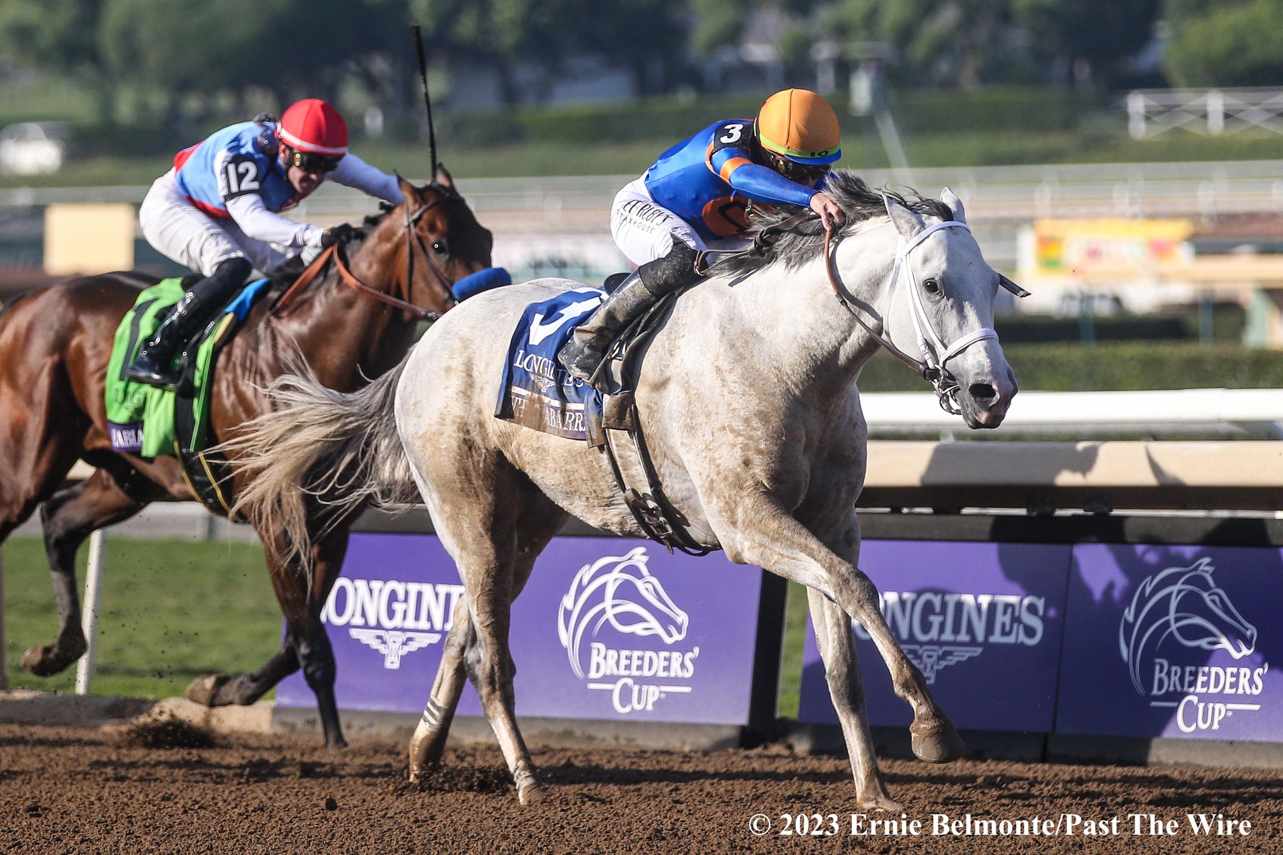 Breeders’ Cup to Air on NBC Networks, FanDuel Past The Wire