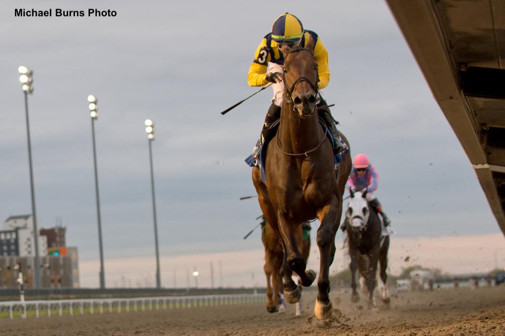 Wolfie's Dynaghost leading the pack. (Michael Burns Photo)