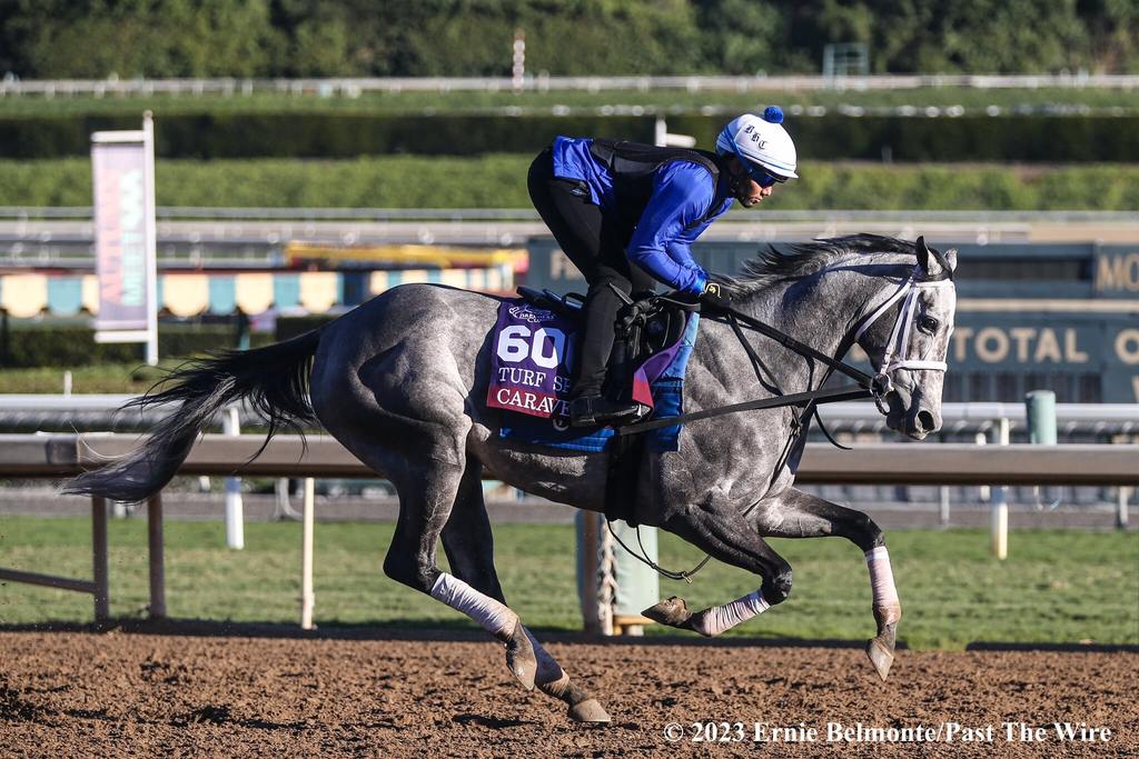 Caravel gallops Oct. 31 at Santa Anita (Ernie Belmonte/Past The Wire)