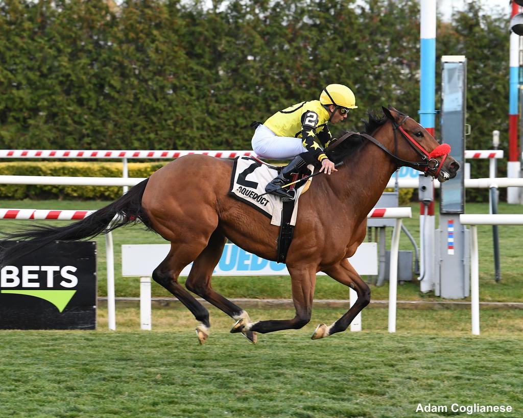 Lady Milagro nails the finish as the longshot at 51-1. (Adam Coglianese)