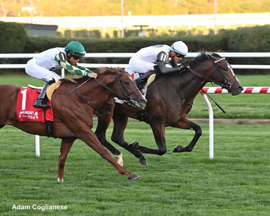 Woke Up Quick breaking his maiden Oct. 4 at Belmont. (Adam Coglianese) 