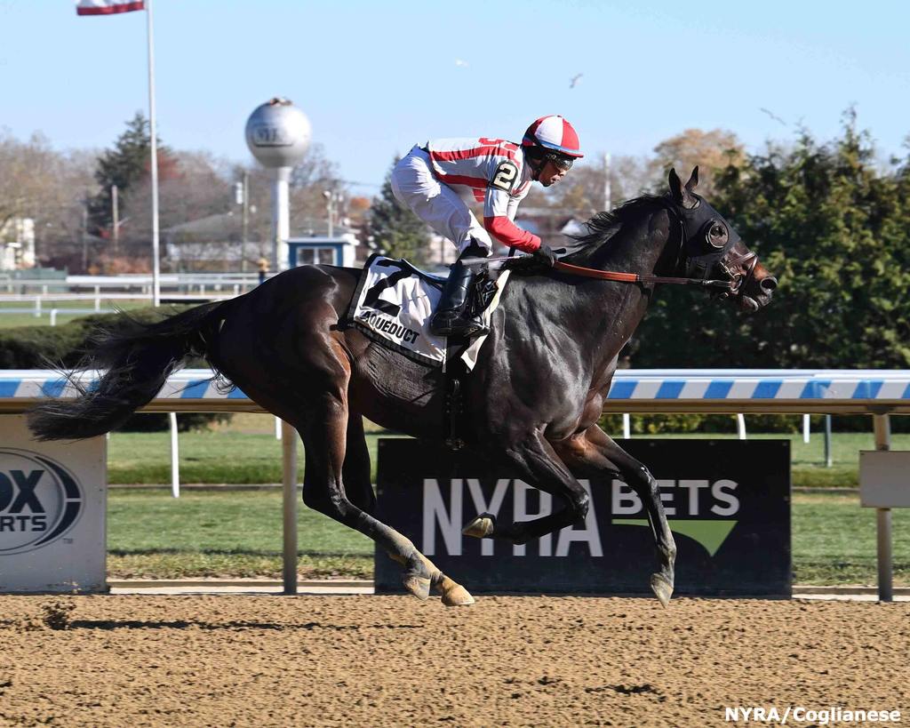 Aggregation scoring handily in an Allowance Nov. 19, 2023. (Adam Coglianese)