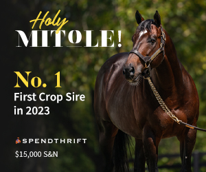 SP: Mitole Square (ad)