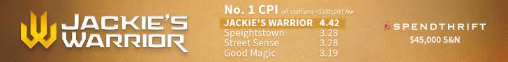 SP: Jackies Warrior Banner (ad)