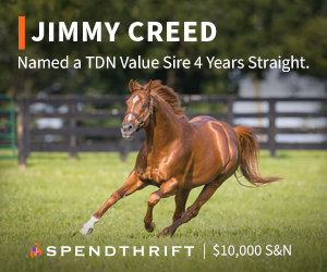 SP: Jimmy Creed Square (ad)