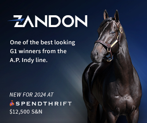 SP: Zandon Square (ad)