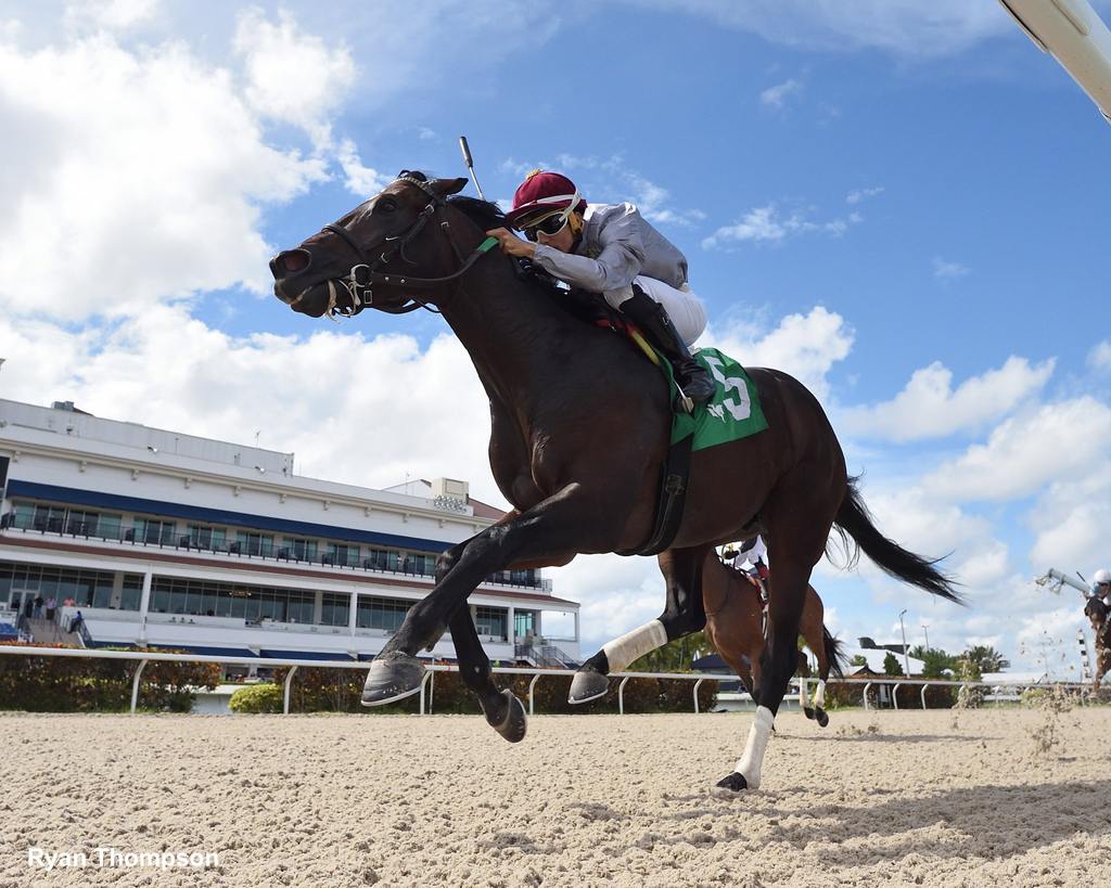 Al Atlasi breaking his maiden at Gulfstream (Ryan Thompson)