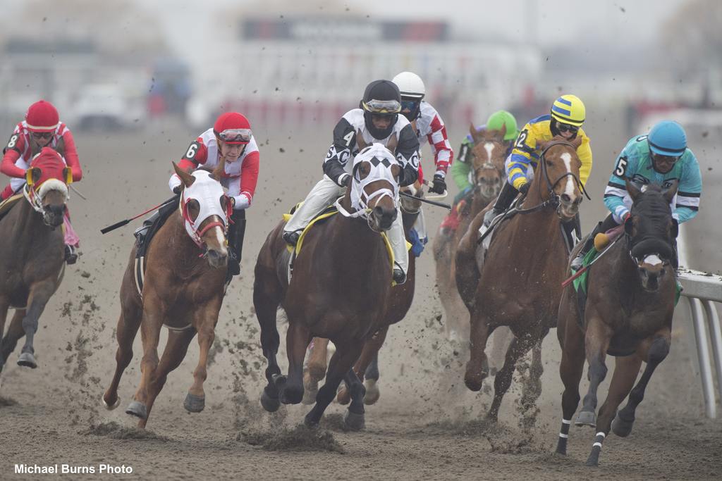 Closing day at Woodbine. (Michael Burns Photo)