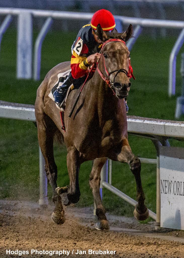 12/31/2023 - Guitar Solo with jockey Corey Lanerie aboard wins the 57th running of the $100,000 Louisiana Futurity Filly Division at Fair Grounds. Hodges Photography / Jan Brubaker