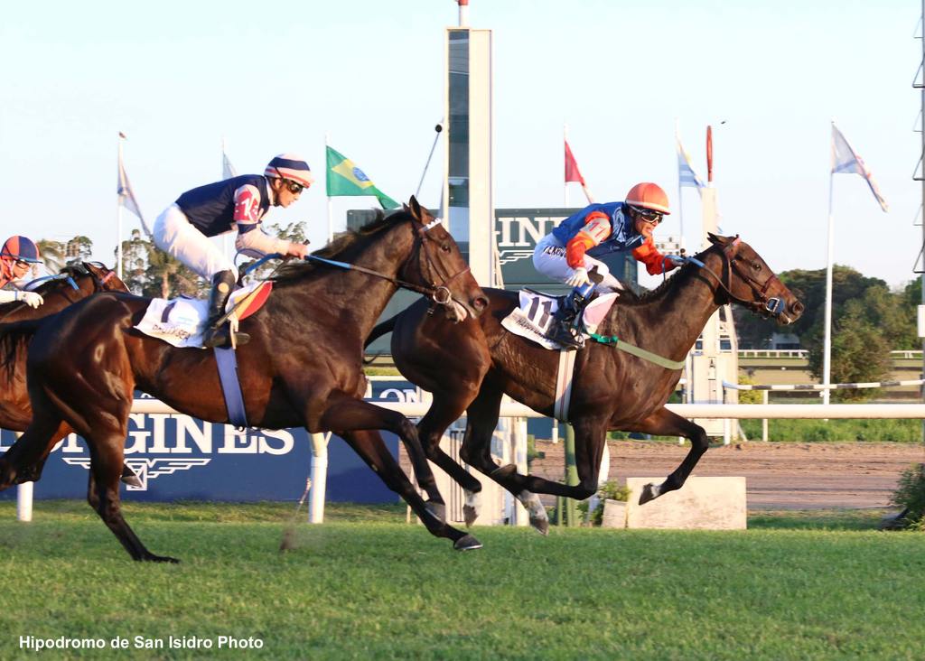 Happy Happy Day. (photo courtesy of Hipodromo de San Isidro)