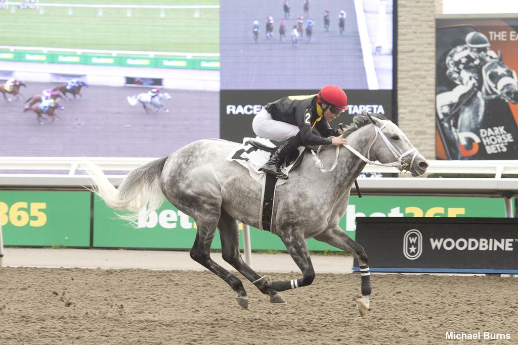 Jill and jockey Emma-Jayne Wilson winning Race 7 on October 14, 2023, at Woodbine (Michael Burns Photo)