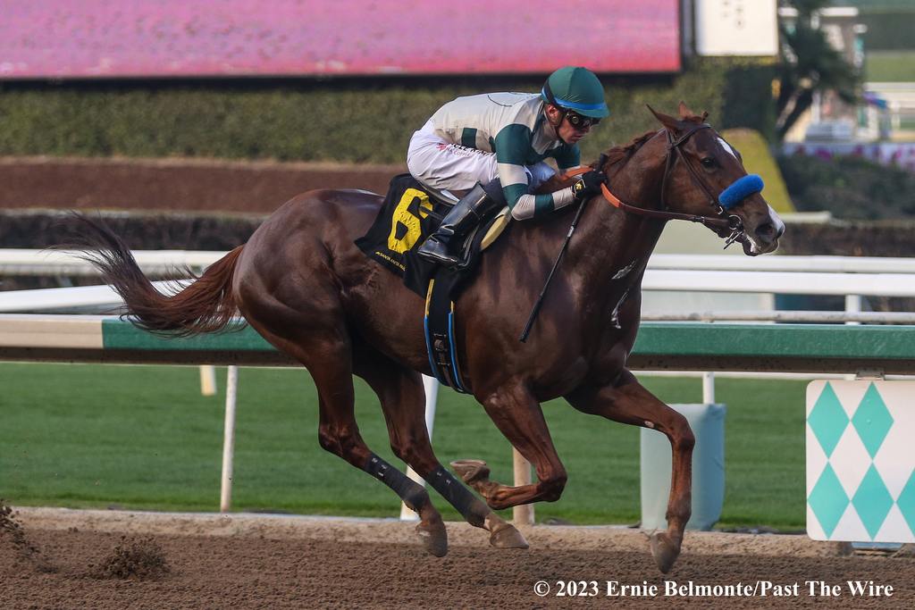 Kinza’s debut win. (Ernie Belmonte/Past The Wire)