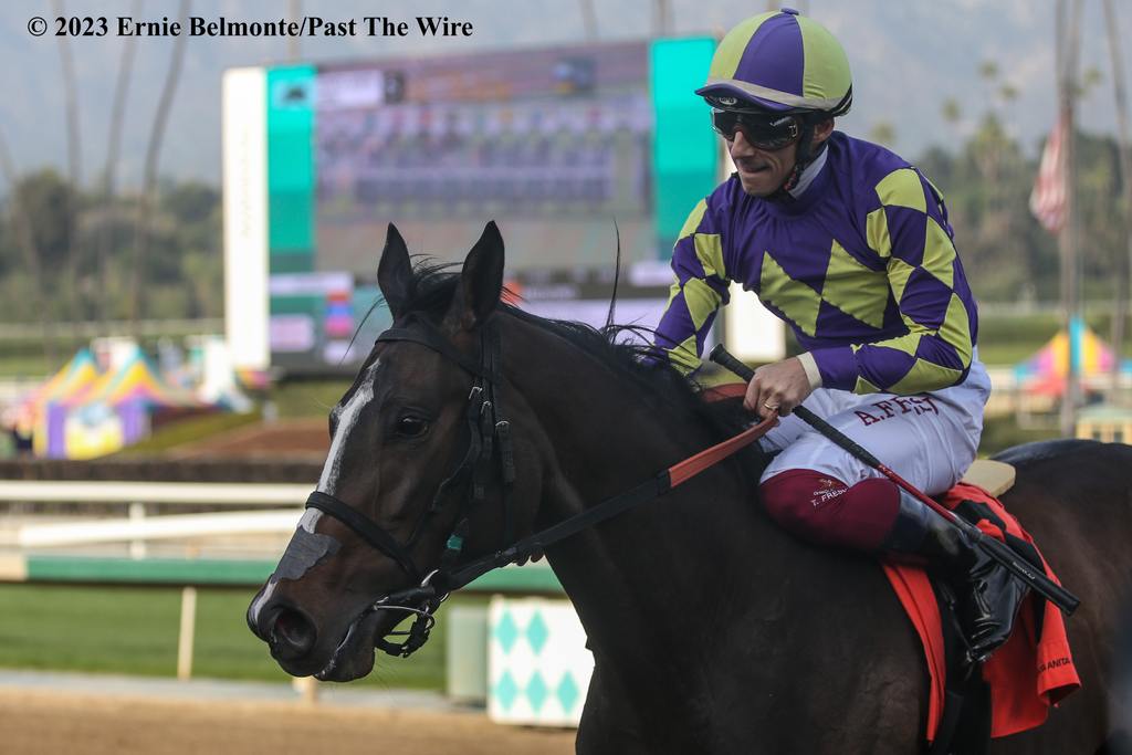 Medoro winning by a neck over Chatalas as Eurton & Fresu team for one mile turf win in 1:35.80 under Antonio Fresu. (Ernie Belmonte/Past The Wire)