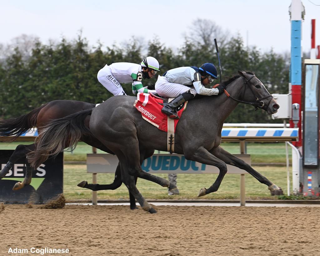 Nikitis gets it done over Curlin's Girl. (Adam Coglianese)