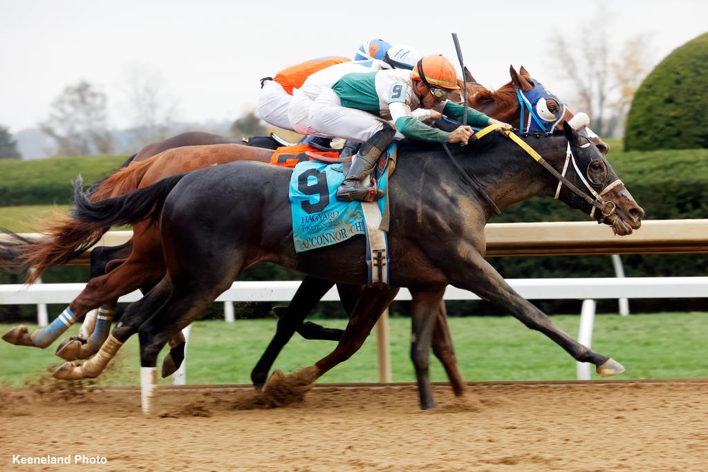 O’Connor battles Il Miracolo to the wire for the win in the Grade 2 Hagyard Fayette at Keeneland Oct. 28. (Keeneland Photo)