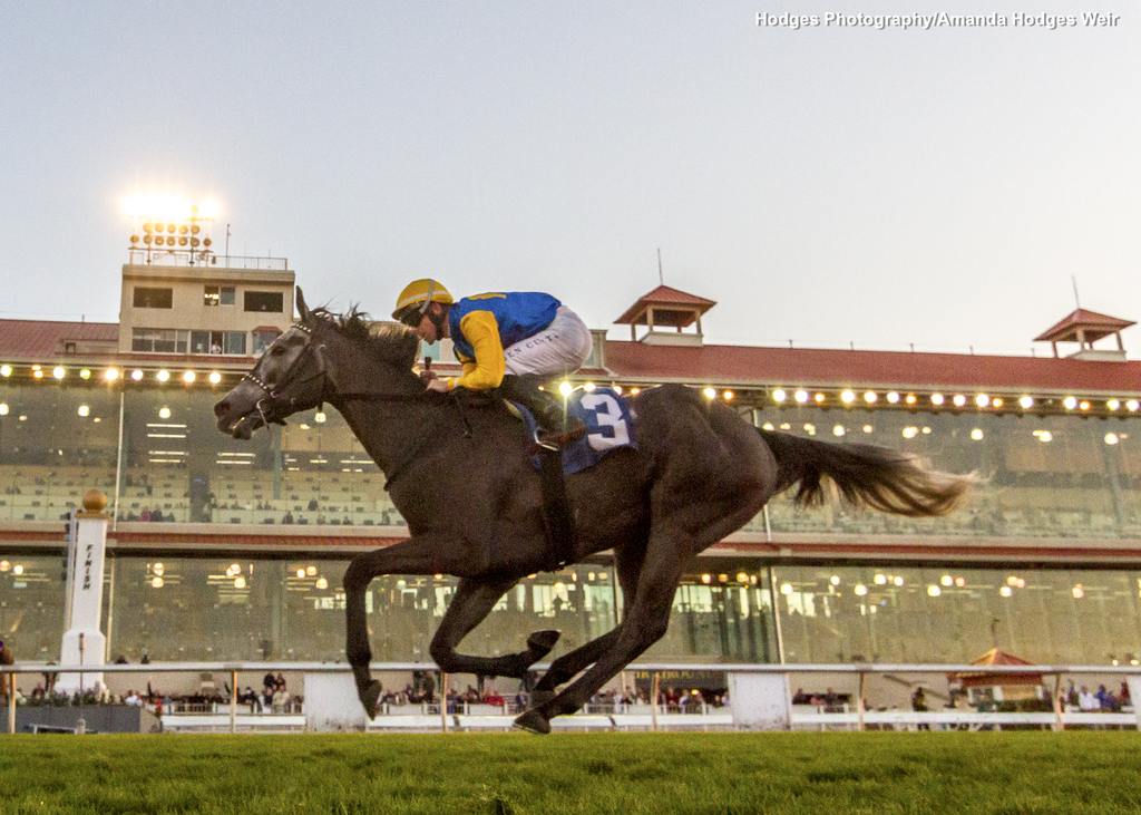 Ben Curtis aboard Tufani pulls away from the field to win the Pago Hop Stakes. (Hodges Photography/Amanda Hodges Weir)