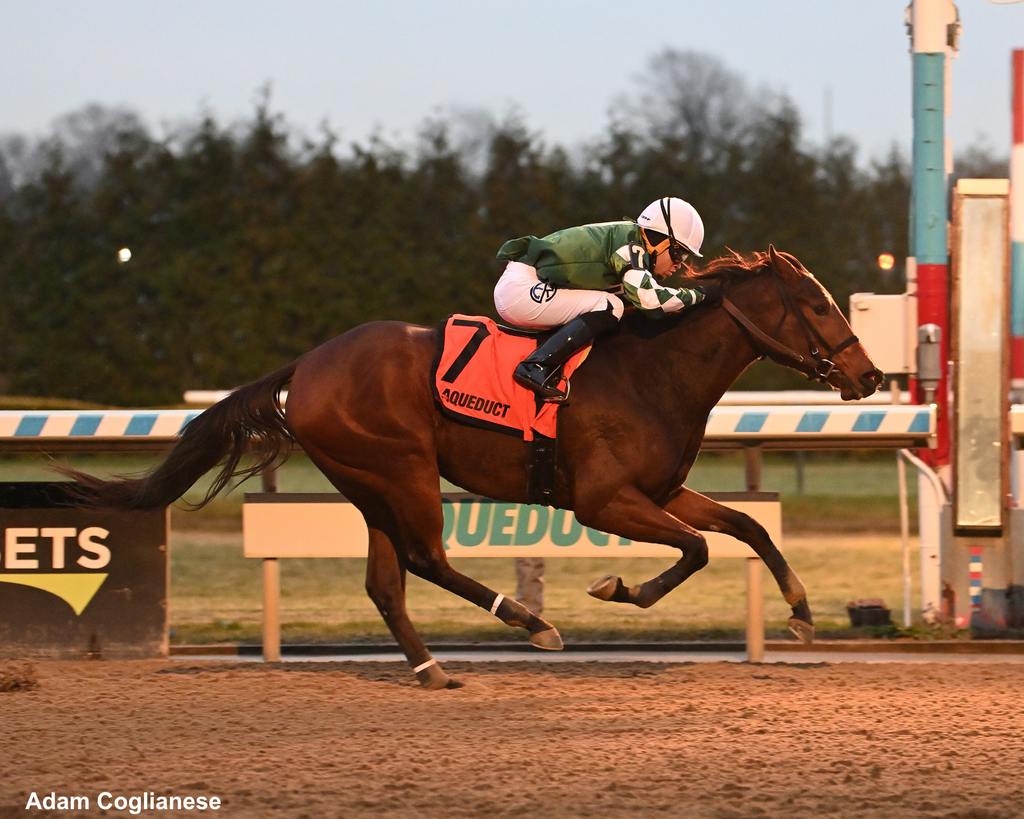 As the day's light fades Flight Control takes off with a win. (Adam Coglianese)