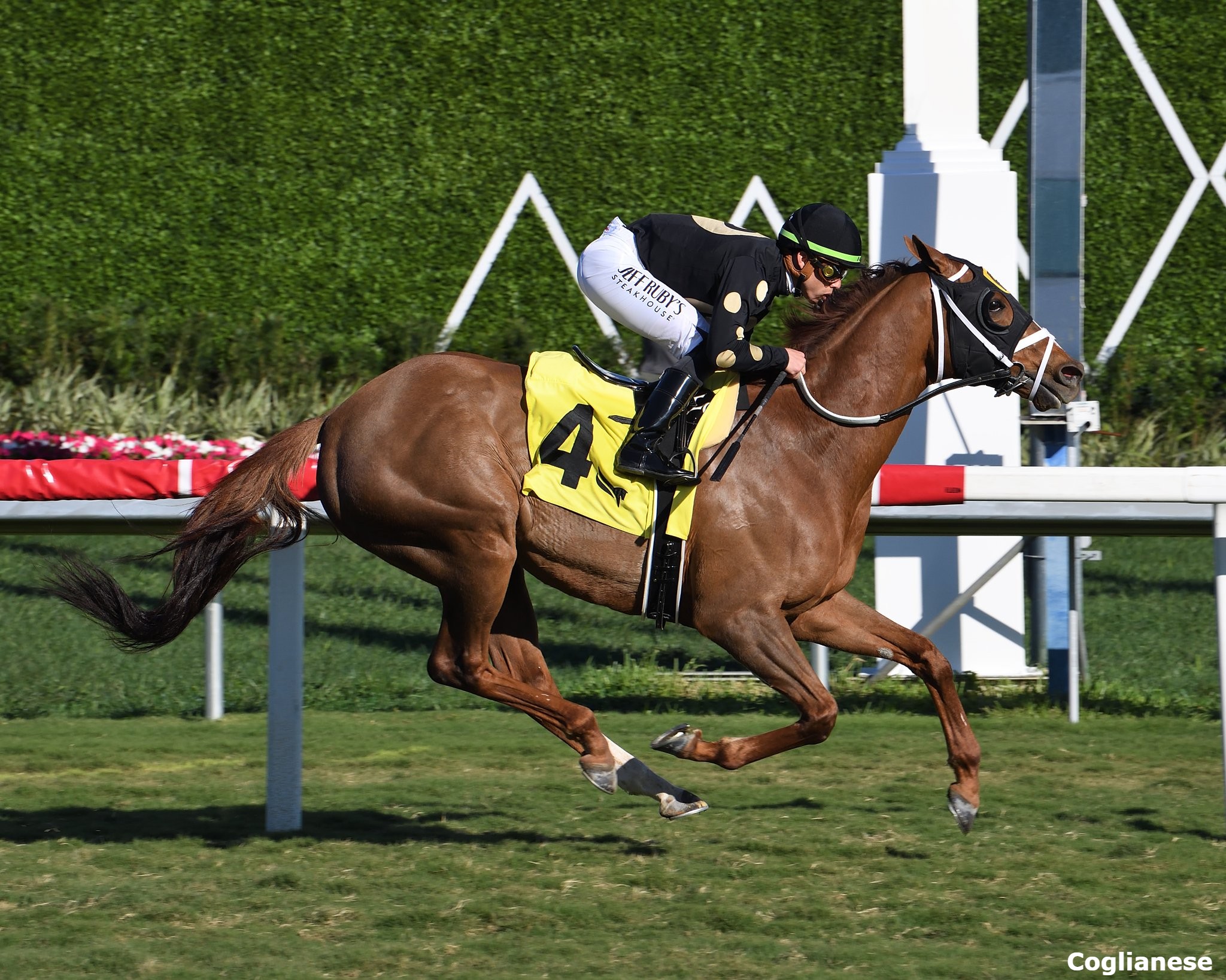 Grade 1 Winner Henley’s Joy Secures First Victory Since 2019 Past The