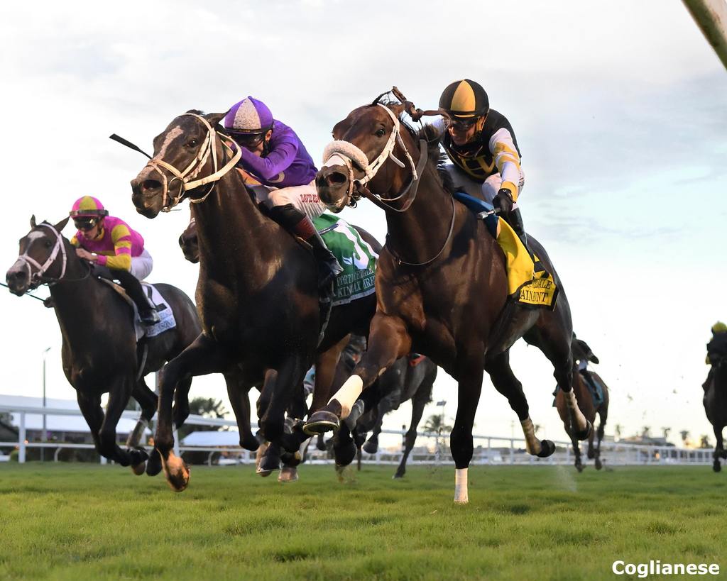 Main Event capturing the Grade 2 Ft. Lauderdale at Gulfstream. (Coglianese photo)