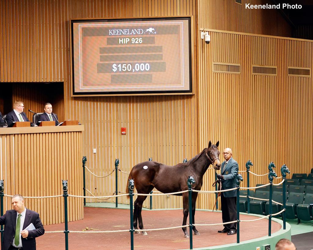 Filly by Yaupon. (Keeneland Photo)