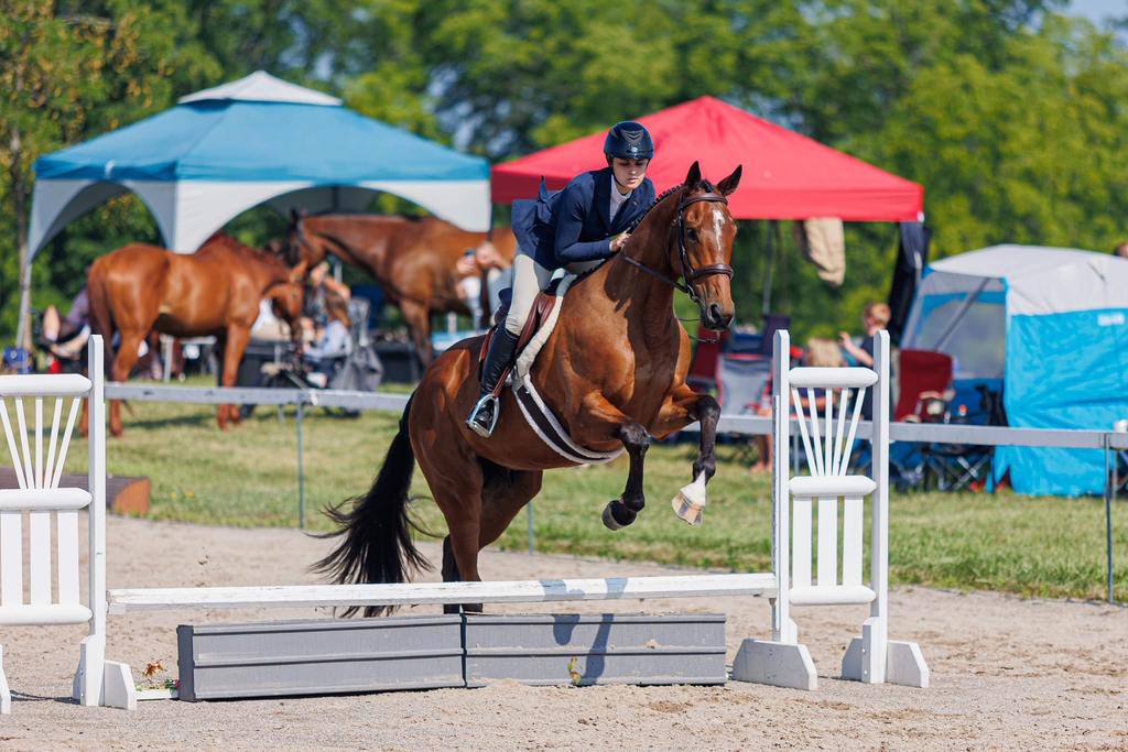 Katie Larson on course with one of her OTTBs. (photo courtesy of Katie Larson)