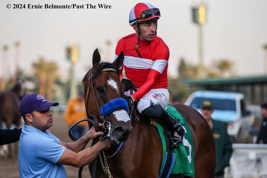 Kings River Knight was in command throughout as he went gate to wire under Juan Hernandez to take the Unusual Heat Turf Classic at Santa Anita Jan. 13. 2024. (Ernie Belmonte/Past The Wire)