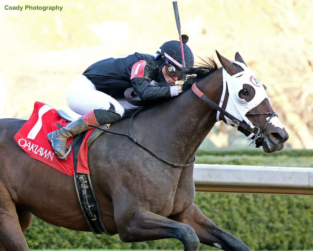 Midshipman's Dance rode the rail to a victory in the inaugural Mockingbird Stakes. (Coady Photography)