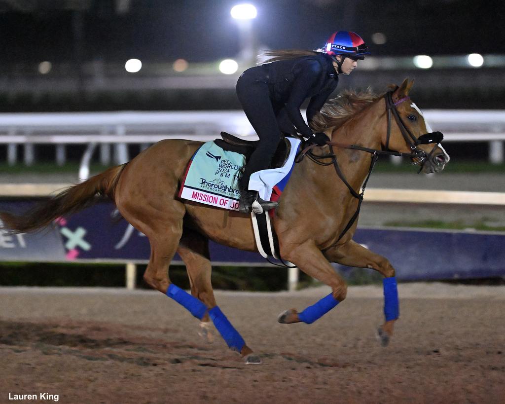 Mission of Joy out on the track today at Gulfstream Park. (Lauren King)