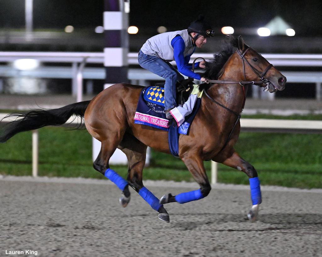 National Treasure out on the track today at Gulfstream Park. (Lauren King)