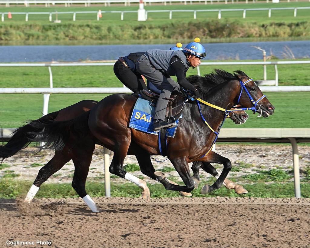 O’Connor gets in a breeze for Joseph. (Coglianese Photo)