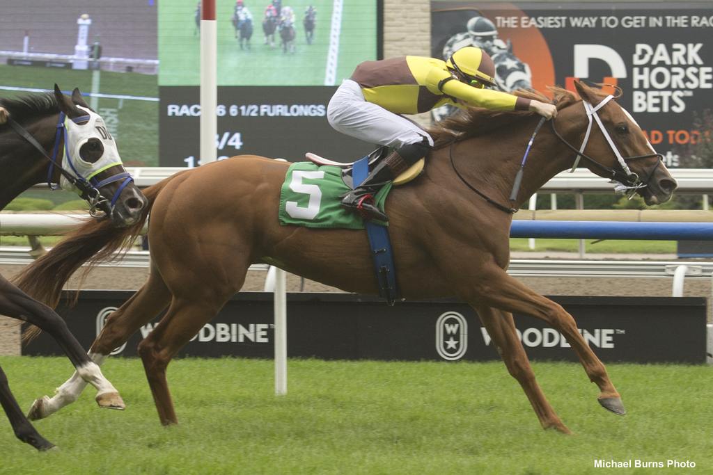 Roaring Forties and jockey Declan Carroll winning Race 6 on September 5, 2022, at Woodbine (Michael Burns Photo)