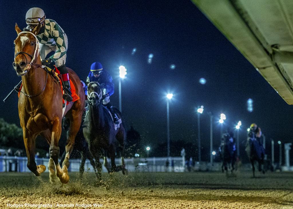 Track Phantom and Rosario leave the field in the mist. (Hodges Photography / Amanda Hodges Weir)