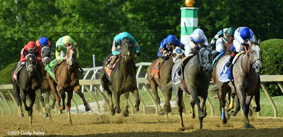 Comparative (#7 on the rail by the pole) started in the 2023 Preakness and at the 1/8th pole was on the rail about even with Balpool in fourth position stalking the leaders Taxed (#10) and Hoosier Philly (#3). (Photo courtesy of Cindy Pierson Dulay/Horse-Races.net)
