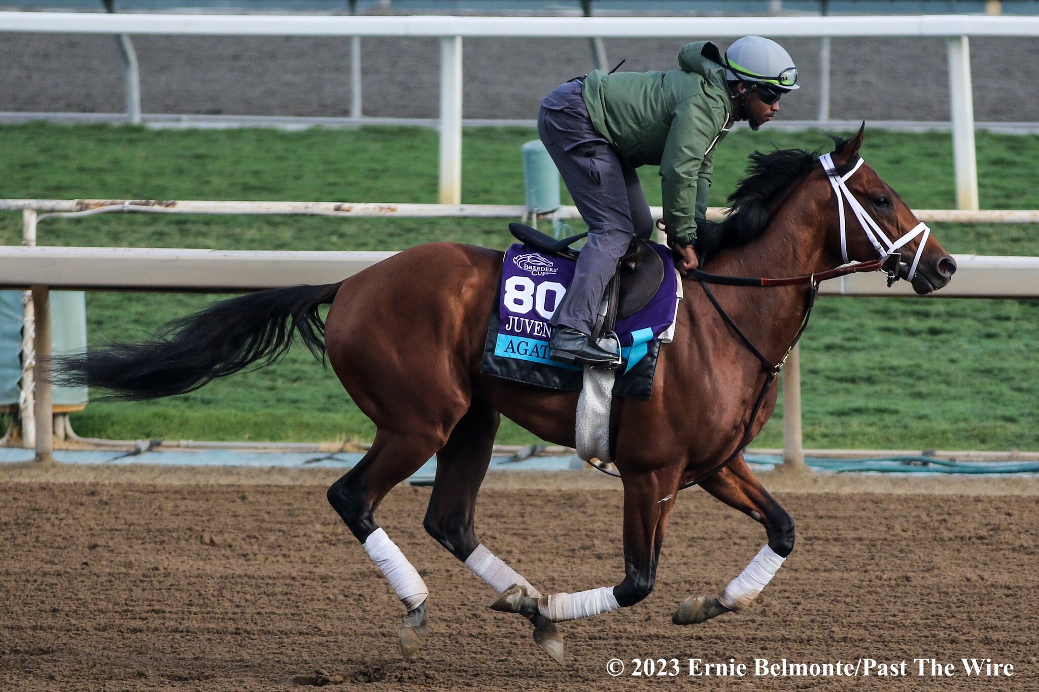 Kentucky Derby Radar, Jeff Ruby, La Derby Previews - Past The Wire