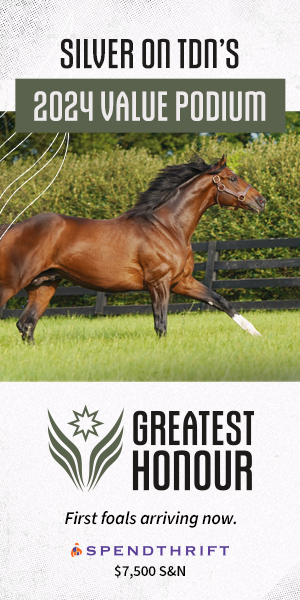 SP: Greatest Honour Vertical Ad (ad)