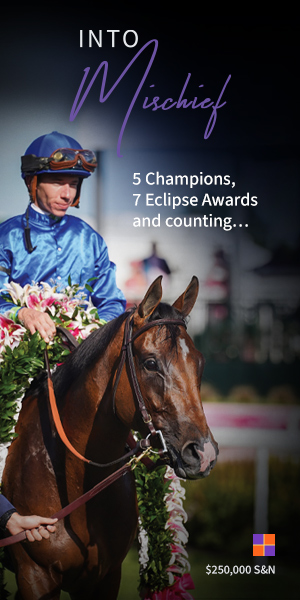 SP: Arabian Lion Vertical Ad (ad)