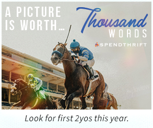 SP: Thousand Words Square (ad)