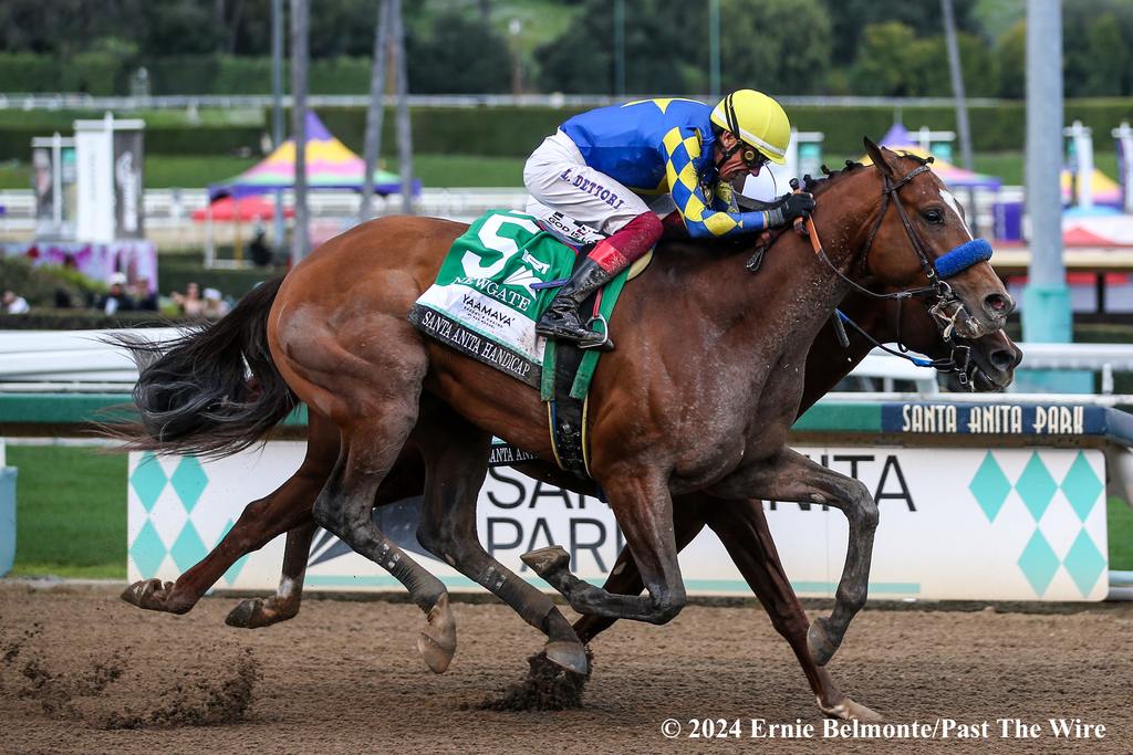 Newgate just getting up over Subsanador (ARG) in the Santa Anita Handicap. (Ernie Belmonte/Past The Wire)