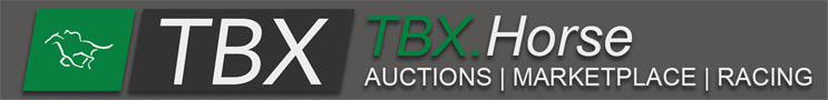 TX: TBX Horse Banner (ad)