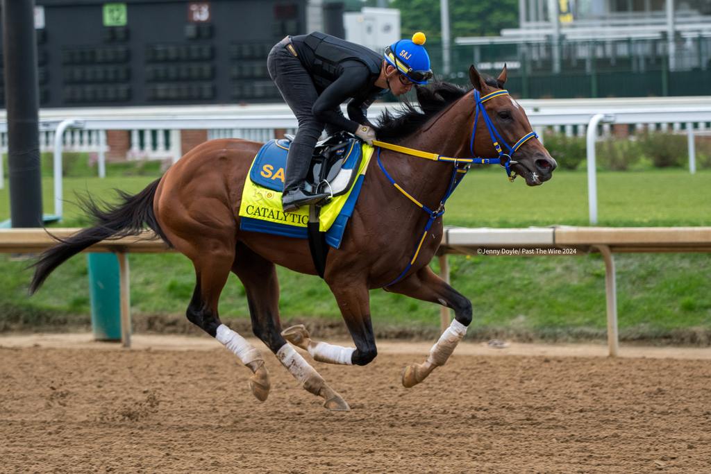Catalytic's Saturday work. (Jenny Doyle/Past The Wire)